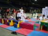Arts'n Sports 2013