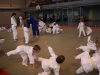 Fête de Metz Judo 2013