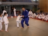 Fête de Metz Judo 2013