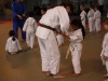 Fête de Metz Judo 2013