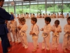 Fête de Metz Judo 2013