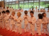 Fête de Metz Judo 2013