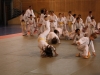 Fête de Metz Judo 2013