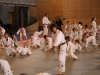 Fête de Metz Judo 2013