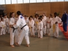 Fête de Metz Judo 2013