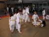 Fête de Metz Judo 2013