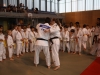 Fête de Metz Judo 2013