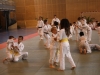 Fête de Metz Judo 2013