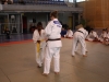 Fête de Metz Judo 2013