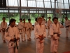 Fête de Metz Judo 2013