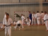 Fête de Metz Judo 2013