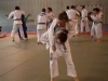 Fête de Metz Judo 2013