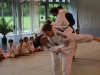 Fête de Metz Judo 2013