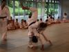 Fête de Metz Judo 2013
