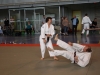 Fête de Metz Judo 2013