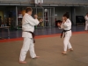 Fête de Metz Judo 2013