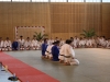 Fête de Metz Judo 2013