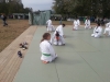 Sentez-vous Sport 2012