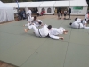 Sentez-vous Sport 2012