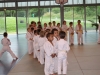 2012-07-01-fete-metz-judo-0012