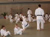 2012-07-01-fete-metz-judo-0026