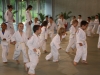 2012-07-01-fete-metz-judo-0027