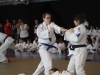 2012-07-01-fete-metz-judo-0076