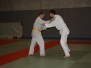 Jujitsu (2013)