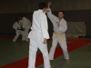 Metz Jujitsu 2013