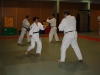 Metz Jujitsu 2013