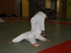 Metz Jujitsu 2013