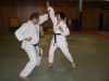 Metz Jujitsu 2013