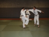 Metz Jujitsu 2013