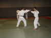 Metz Jujitsu 2013