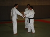 Metz Jujitsu 2013