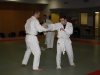 Metz Jujitsu 2013