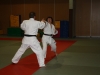 Metz Jujitsu 2013