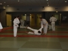 Metz Jujitsu 2013