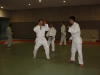 Metz Jujitsu 2013