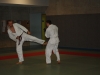 Metz Jujitsu 2013