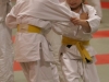 metzjudo013