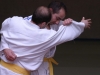 metzjujitsu010