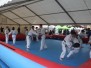 Sentez-vous Sport 2015