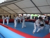 Sentez-vous Sport 2015