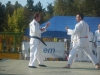 Démonstration de Jujitsu