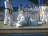 Démonstration de Jujitsu