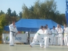 Démonstration de Jujitsu