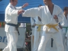 Démonstration de Jujitsu