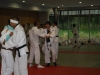 Metz-Moselle 2012 : Autour des tatamis