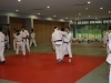 Metz-Moselle 2012 : Autour des tatamis